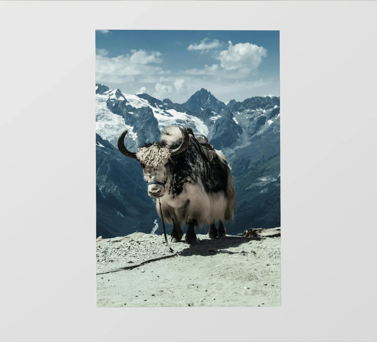 Yak in piedi su un sentiero di montagna telo in pvc da The Herringstore