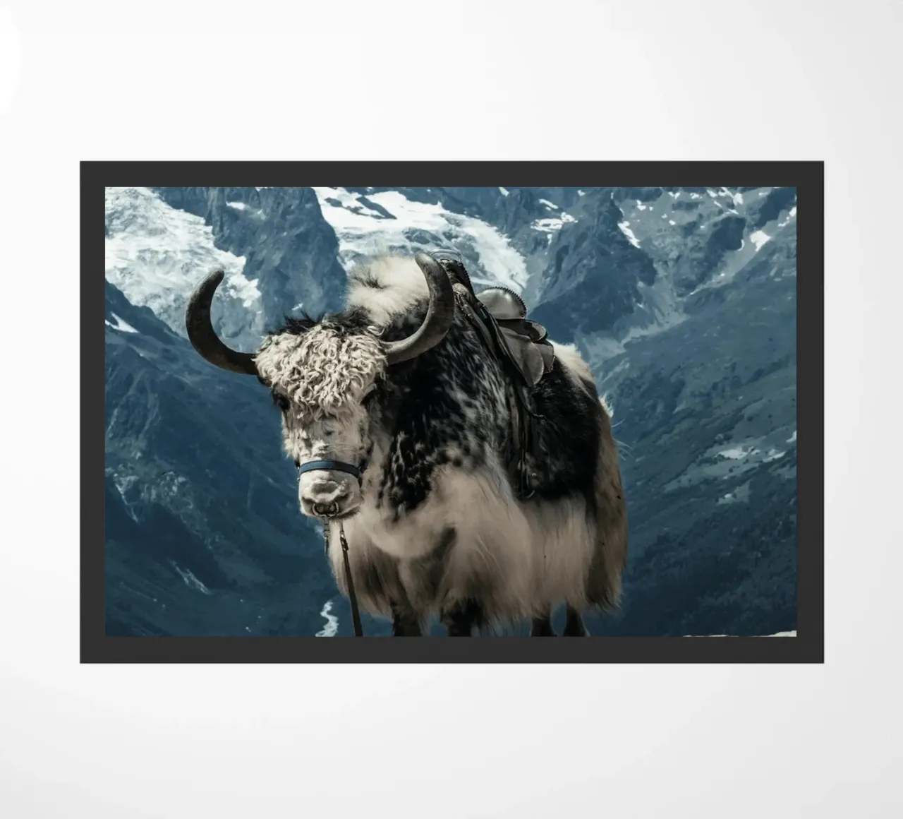 Yak in piedi su un sentiero di montagna zerbino da The Herringstore