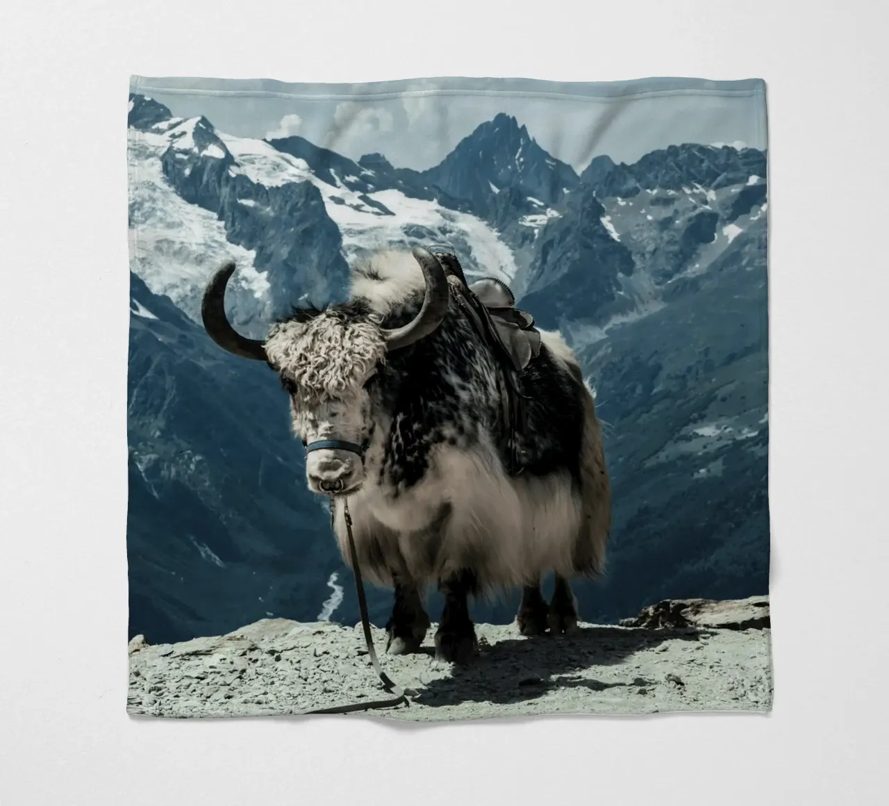 Yak in piedi su un sentiero di montagna coperta in pile da The Herringstore
