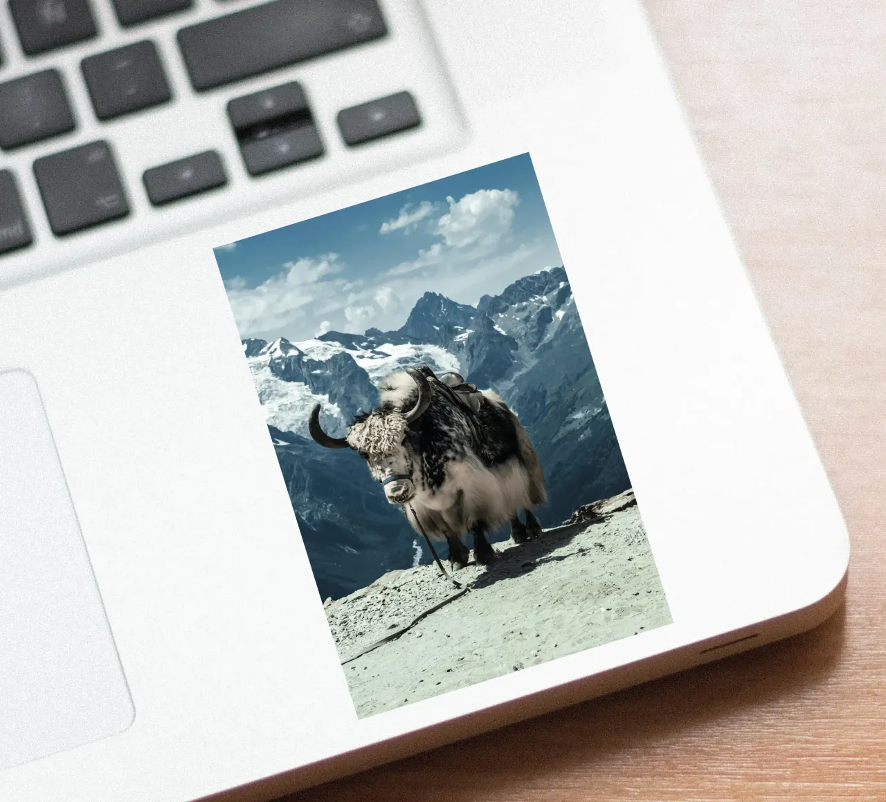 Yak in piedi su un sentiero di montagna adesivo da The Herringstore