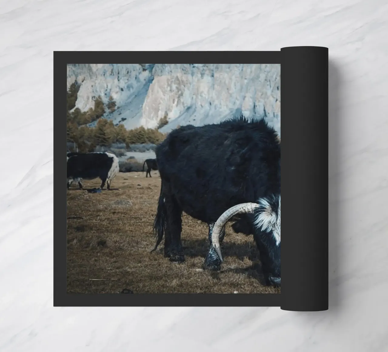 Un maestoso yak al pascolo in primo piano zerbino da The Herringstore