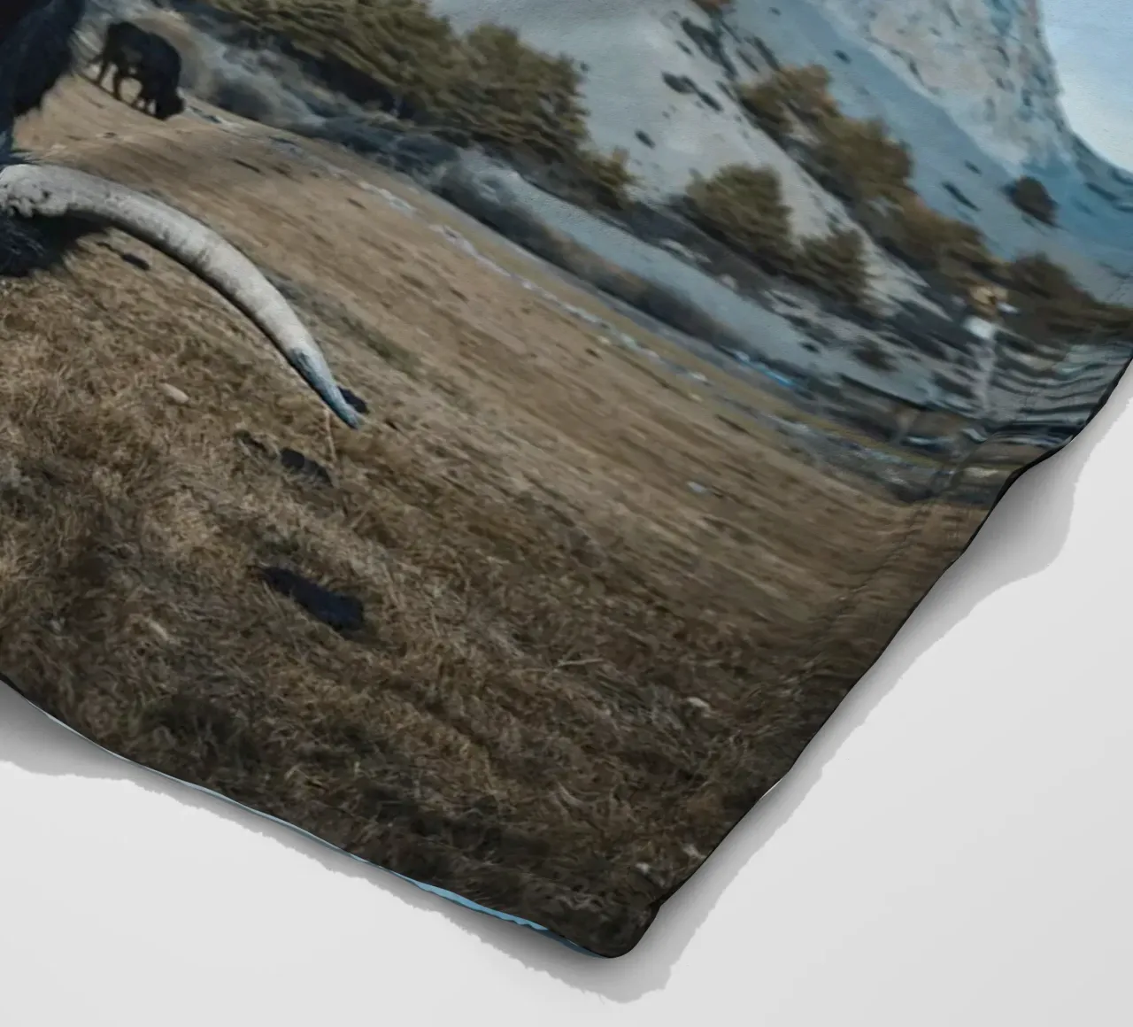 Un maestoso yak al pascolo in primo piano coperta in pile da The Herringstore