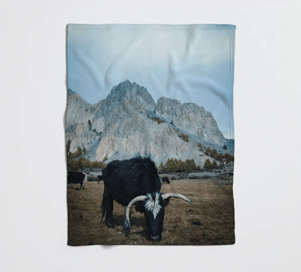 Un maestoso yak al pascolo in primo piano coperta in pile da The Herringstore