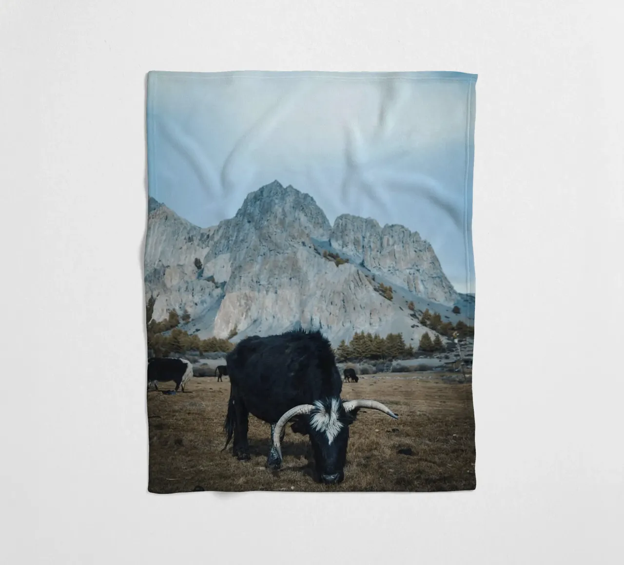 Un maestoso yak al pascolo in primo piano coperta in pile da The Herringstore