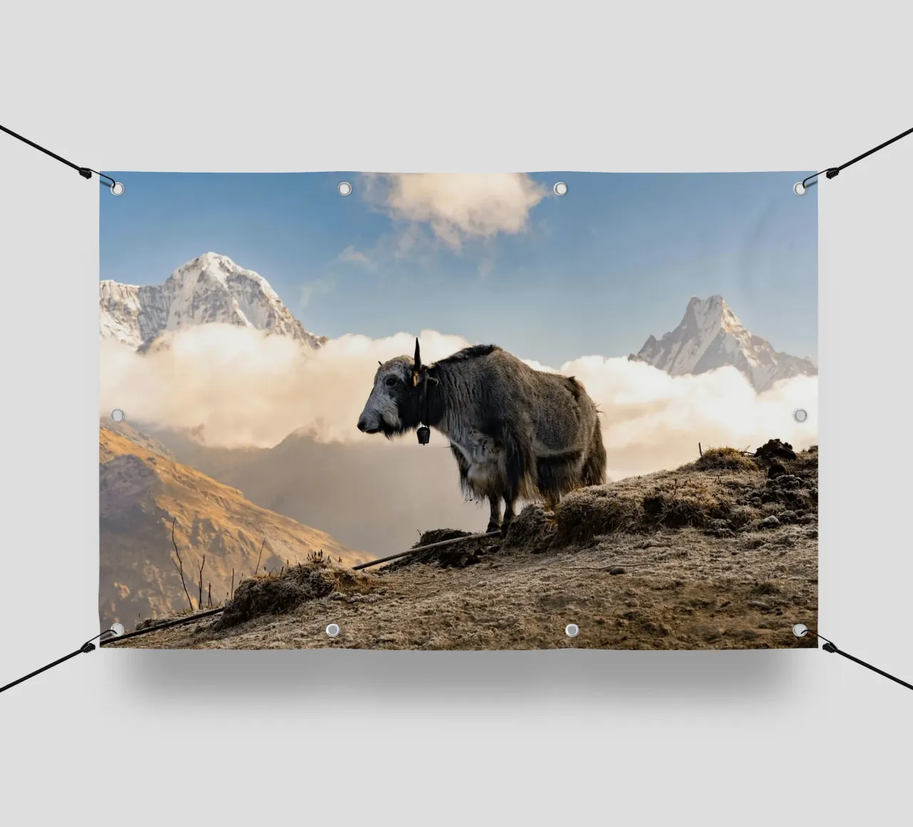 La serena bellezza di uno yak telo in pvc da The Herringstore