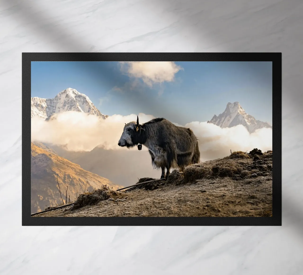 La serena bellezza di uno yak zerbino da The Herringstore