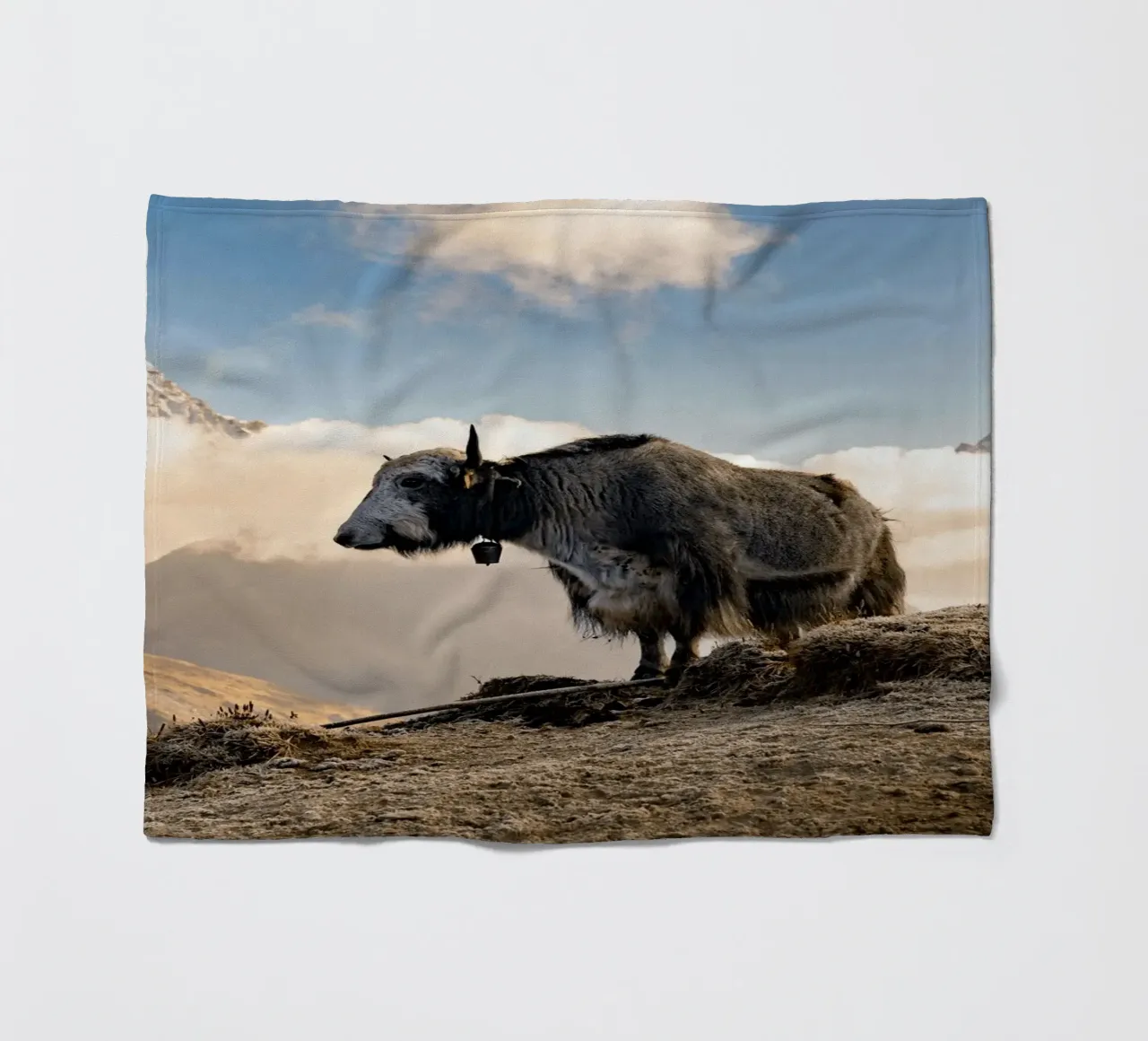La serena bellezza di uno yak coperta in pile da The Herringstore