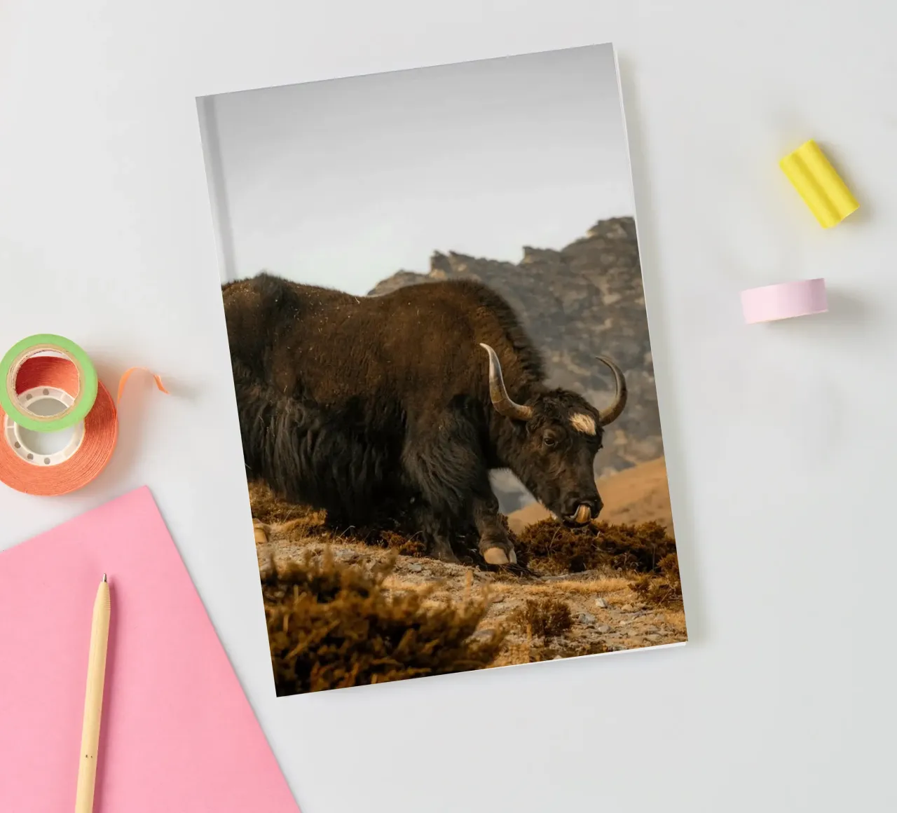 Uno yak al pascolo sulle pendici dell'Himalaya diario da The Herringstore