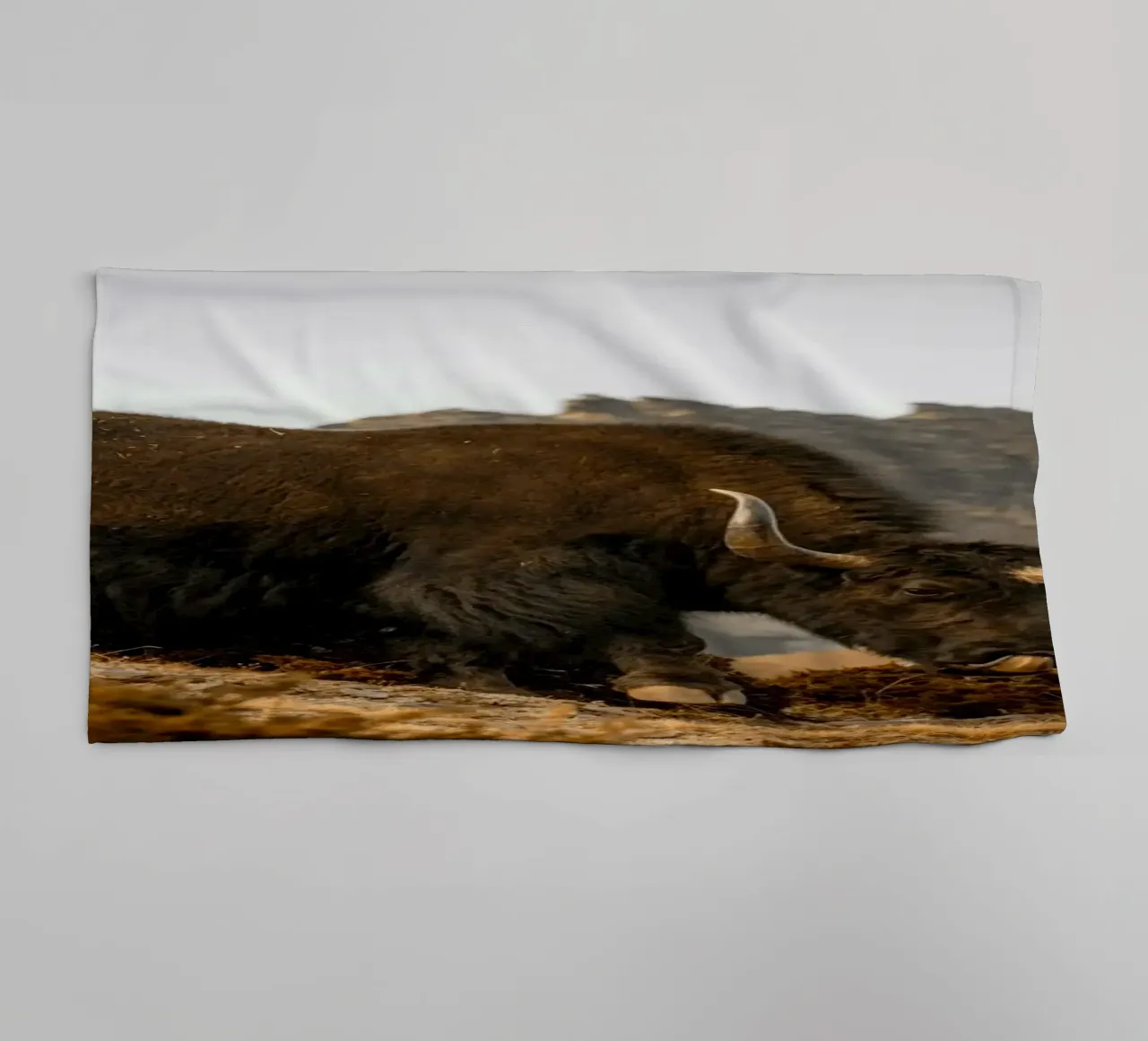 A Yak Grazing on the Slopes of the Himalaya's towel by The Herringstore
