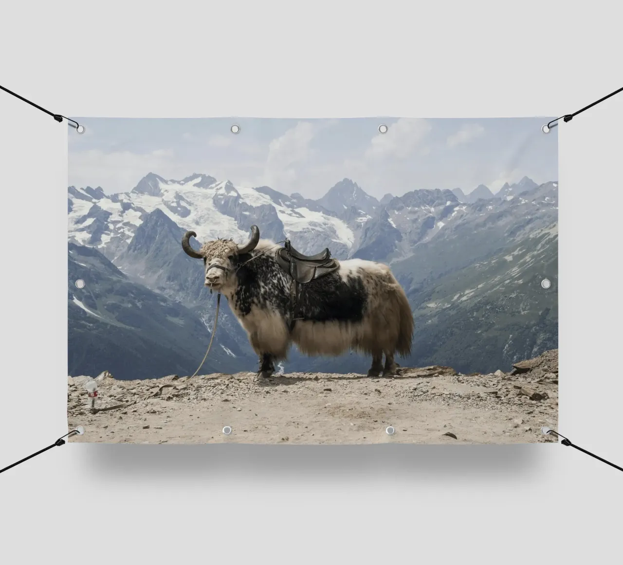 Yak in piedi su uno sfondo montano innevato telo in pvc da The Herringstore