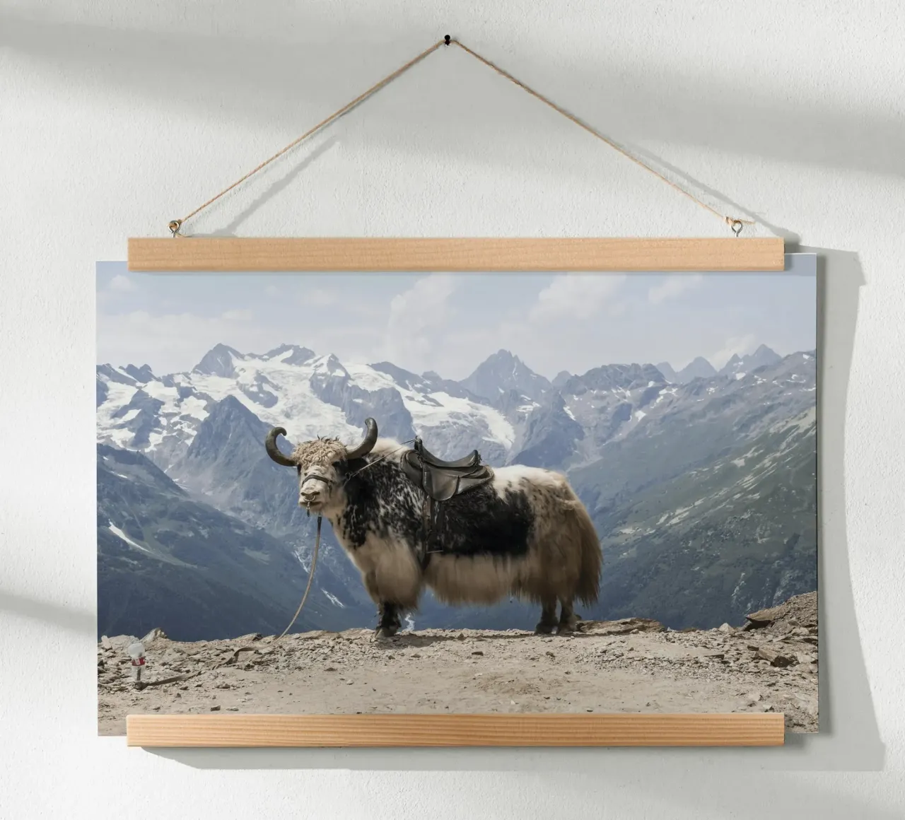 Yak Standing on a Snowy Mountain Backdrop hahnemühle by The Herringstore
