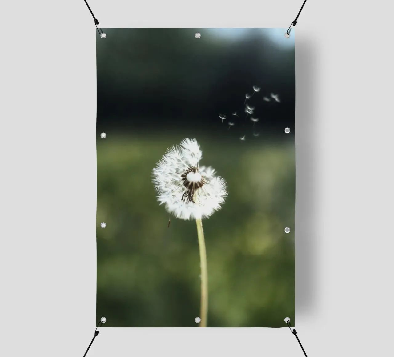 Dandelion Floating Seeds telo in pvc da Attaboy Dsgn