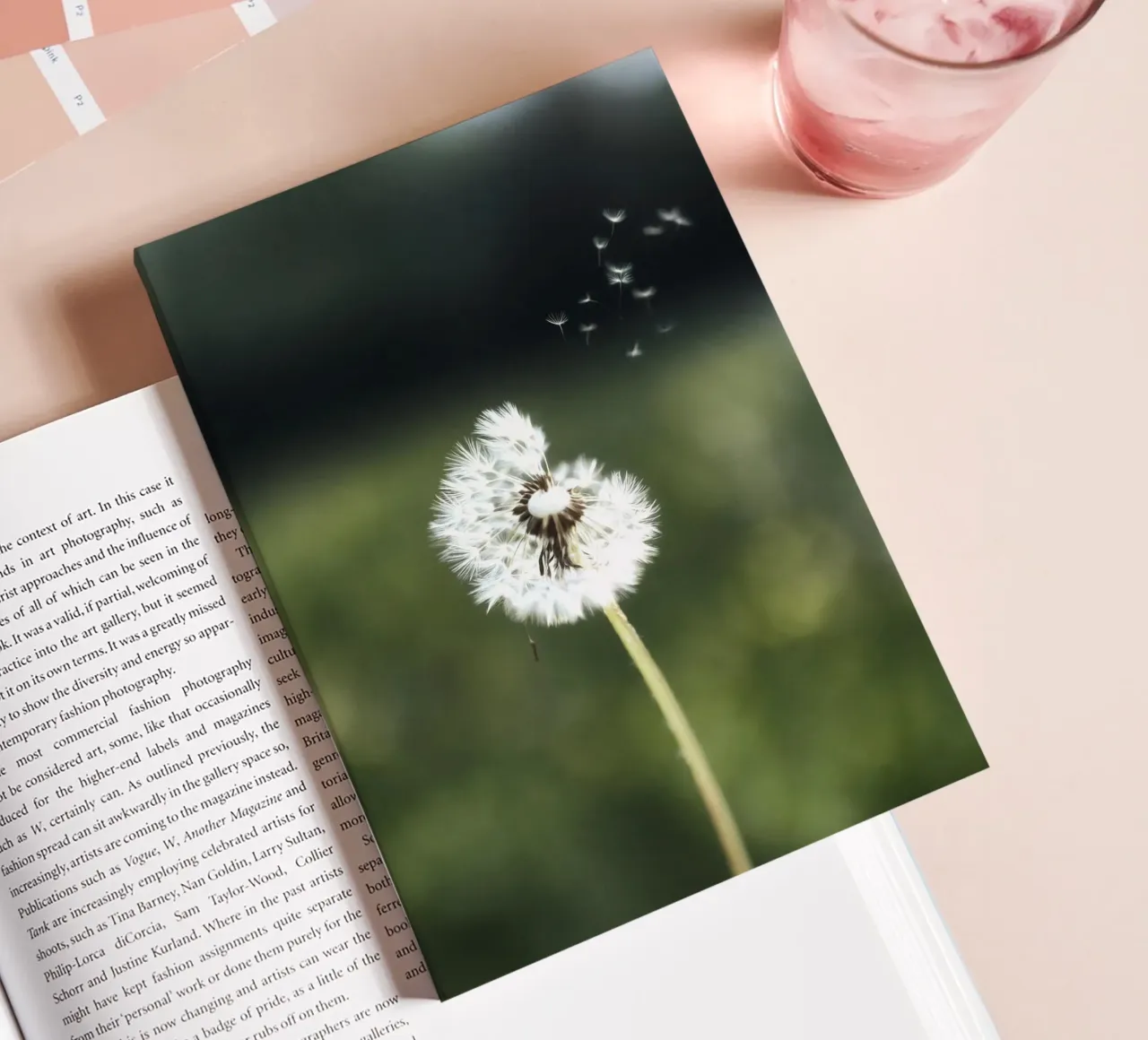 Dandelion Floating Seeds diario da Attaboy Dsgn