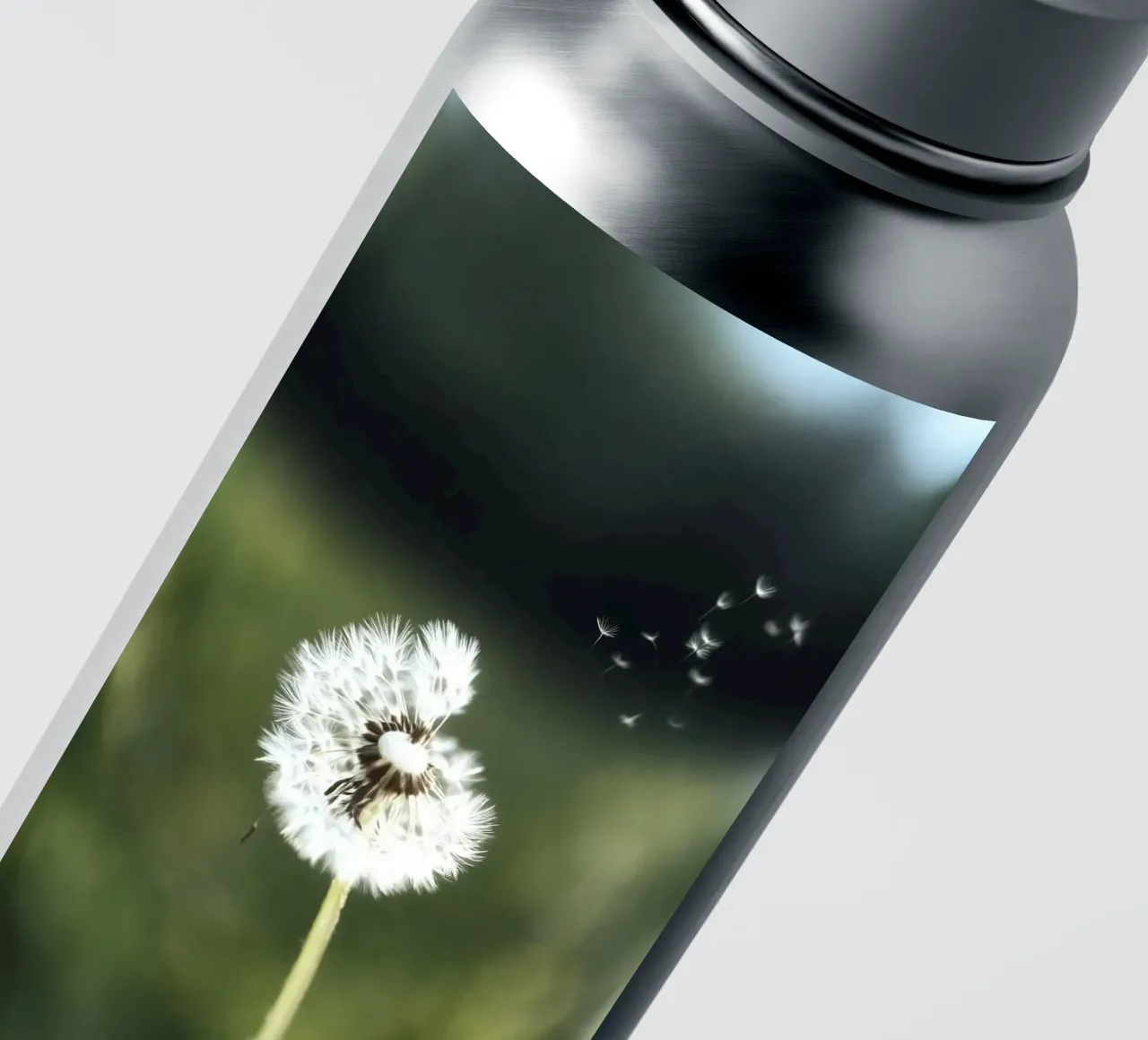Dandelion Floating Seeds pegatina de Attaboy Dsgn