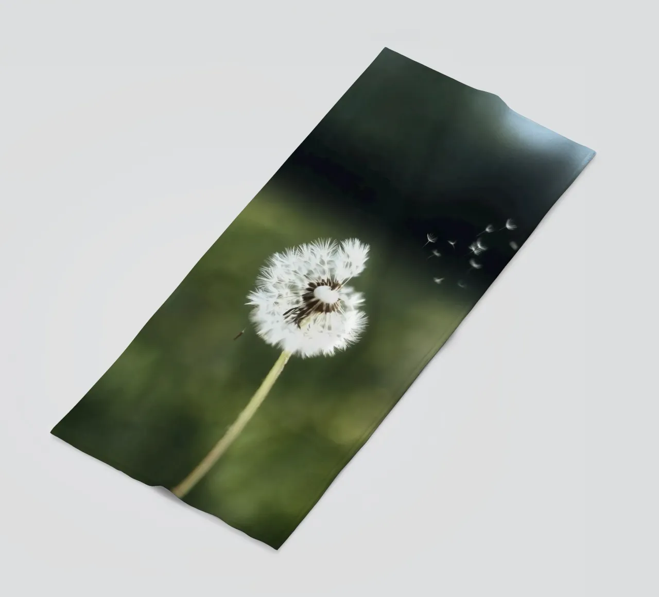Dandelion Floating Seeds telo mare da Attaboy Dsgn