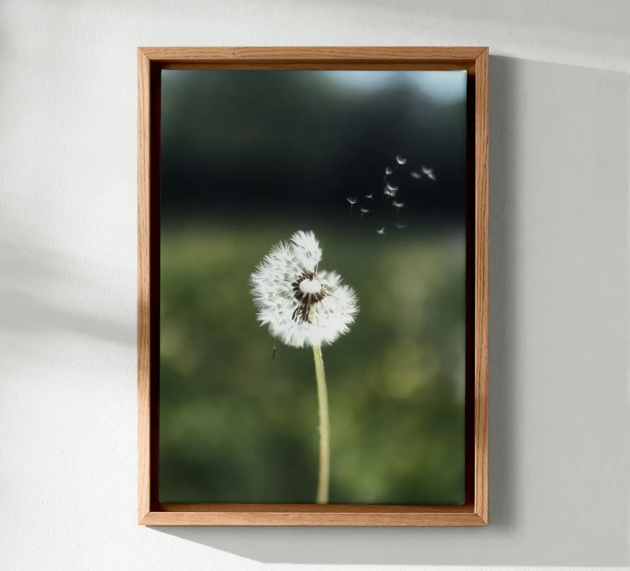 Dandelion Floating Seeds tela da Attaboy Dsgn