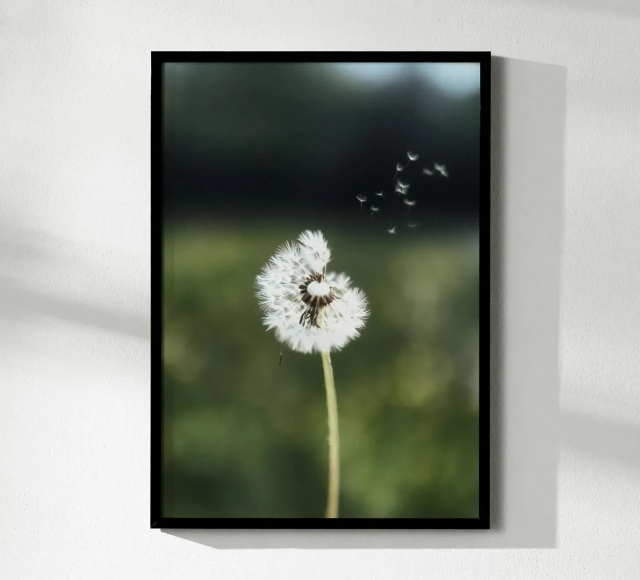 Dandelion Floating Seeds hahnemühle van Attaboy Dsgn
