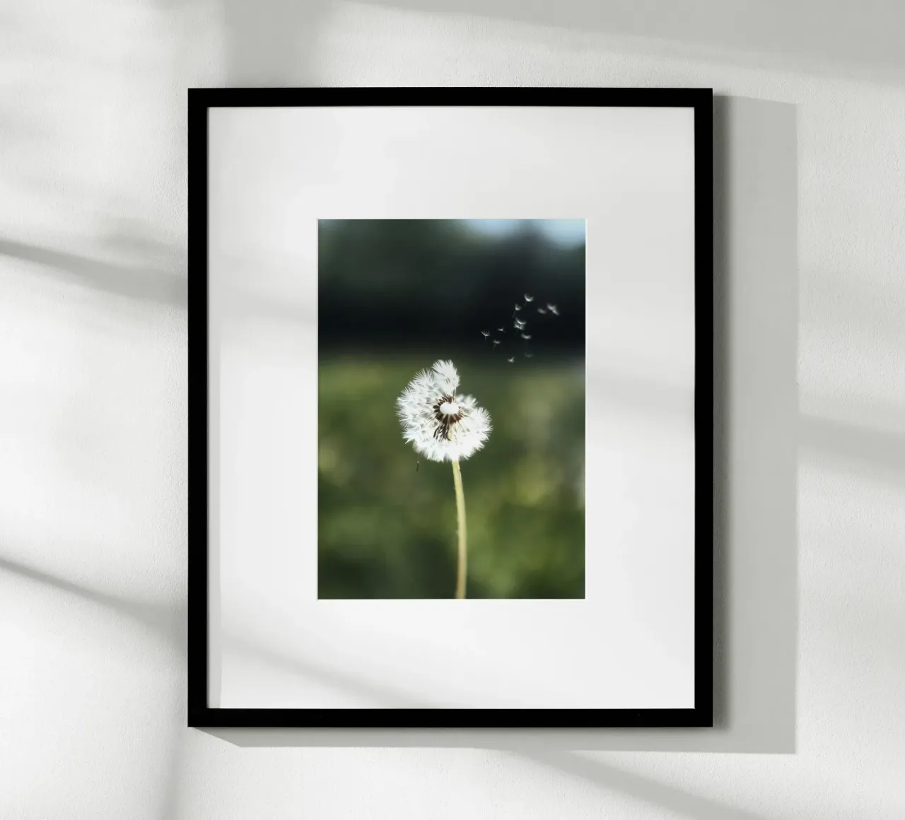 Dandelion Floating Seeds hahnemühle van Attaboy Dsgn