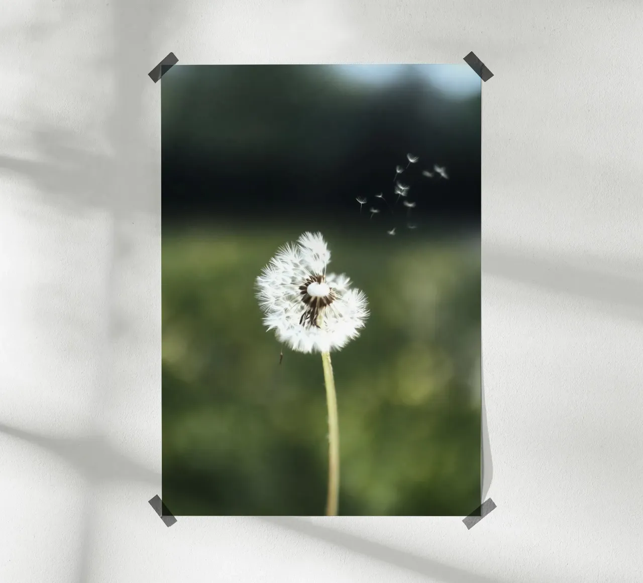 Dandelion Floating Seeds hahnemühle van Attaboy Dsgn