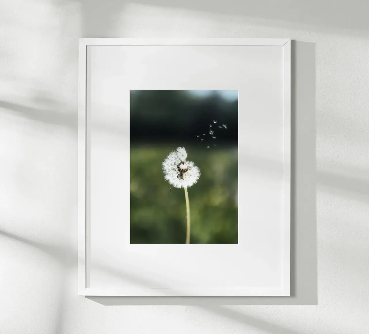 Dandelion Floating Seeds hahnemühle van Attaboy Dsgn