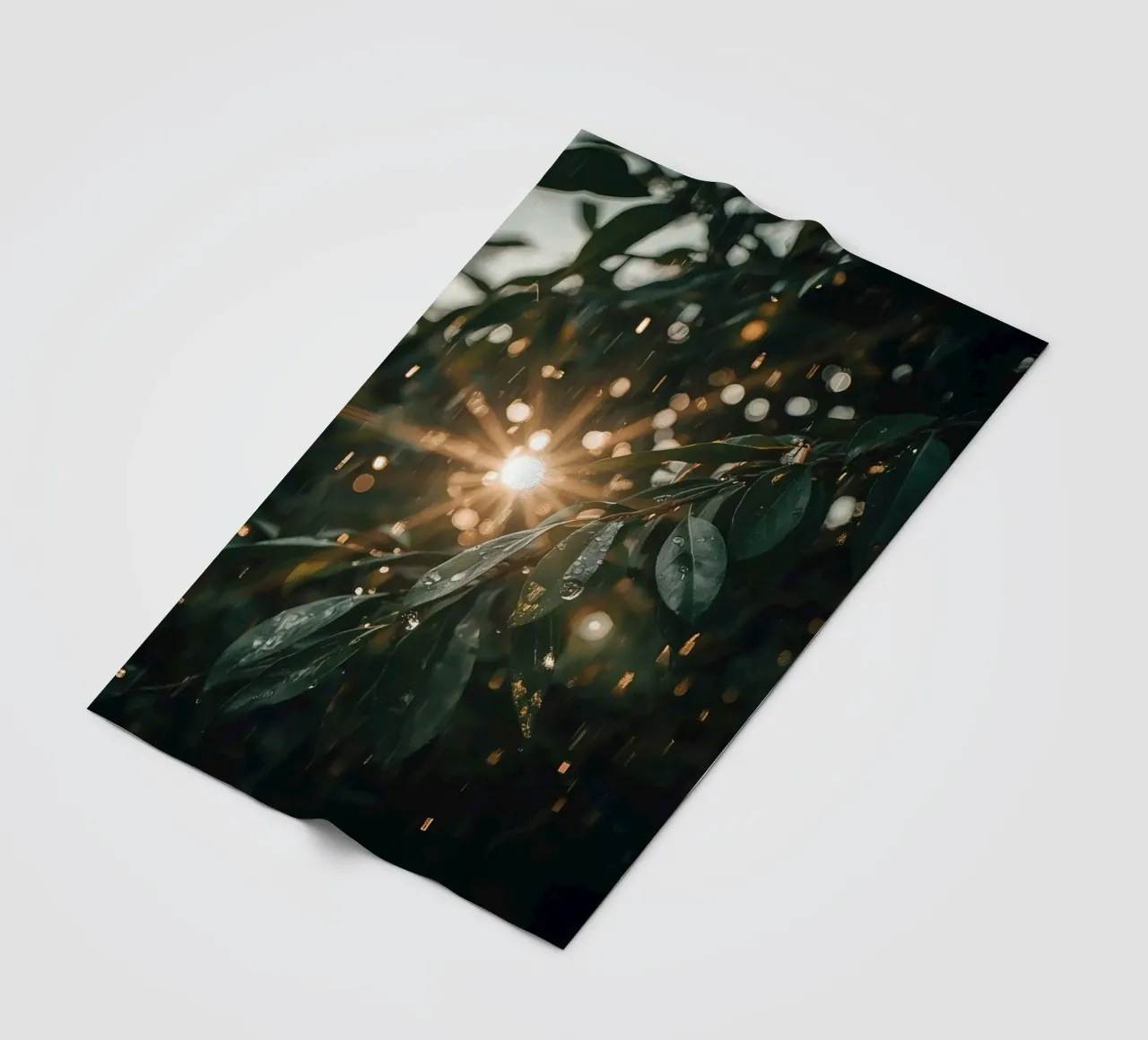 Luce solare e pioggia sulle foglie verde scuro coperta in pile da DesignDoodle