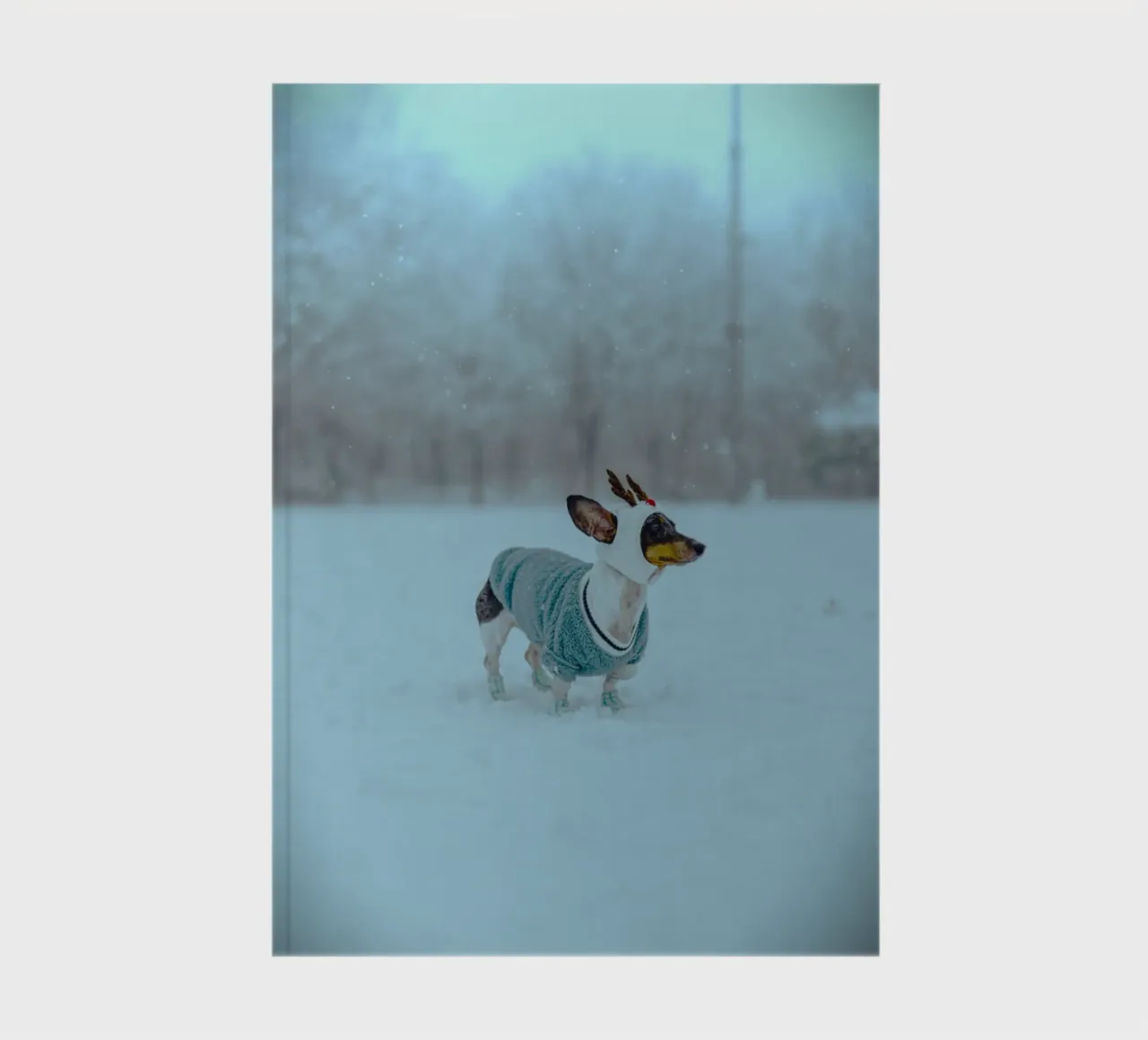 Every step on the snow brings warmth in the middle of winter notebook by Nature's Palette