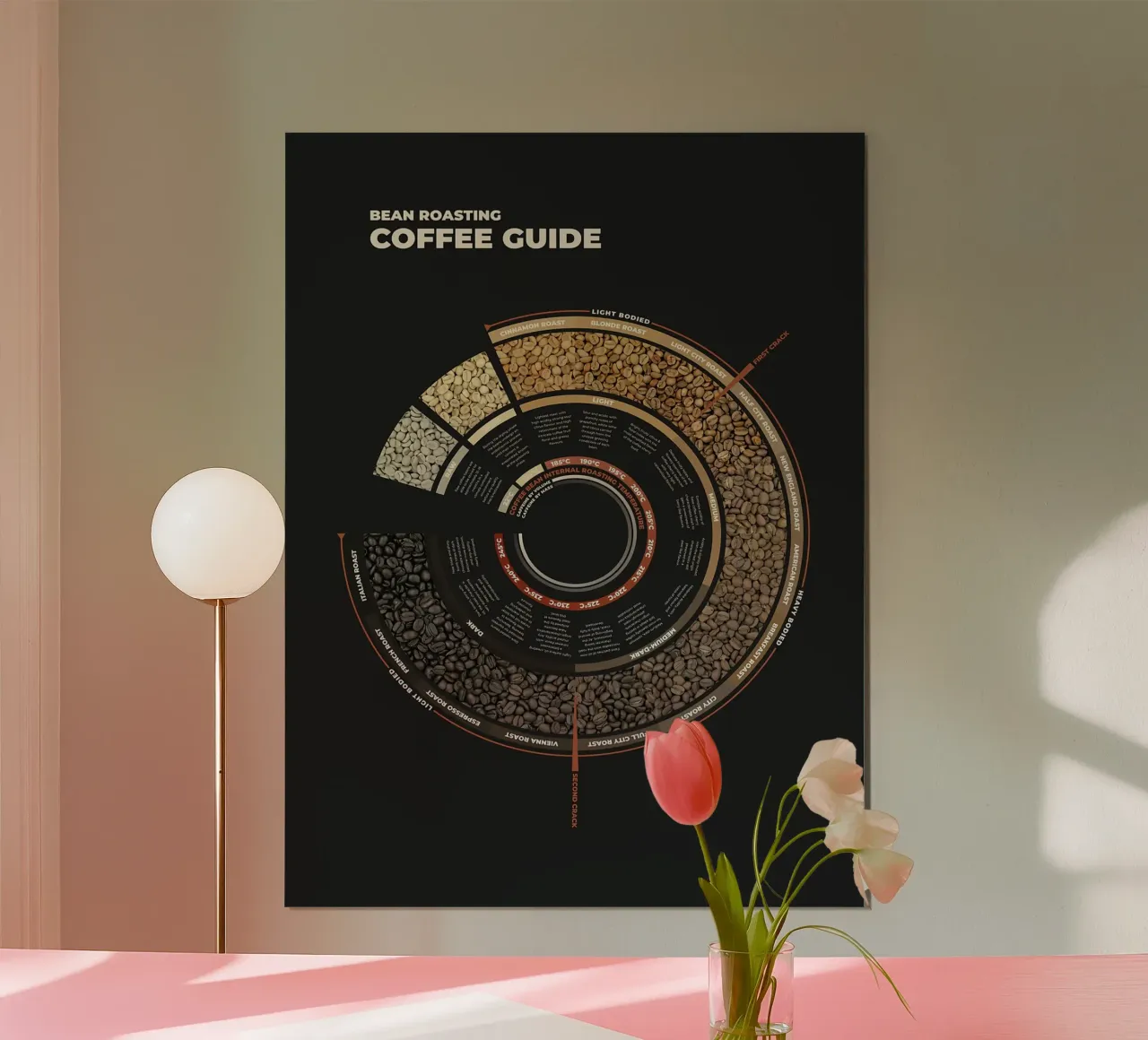 Guida alla tostatura del caffè in grani carta hahnemühle da stewar