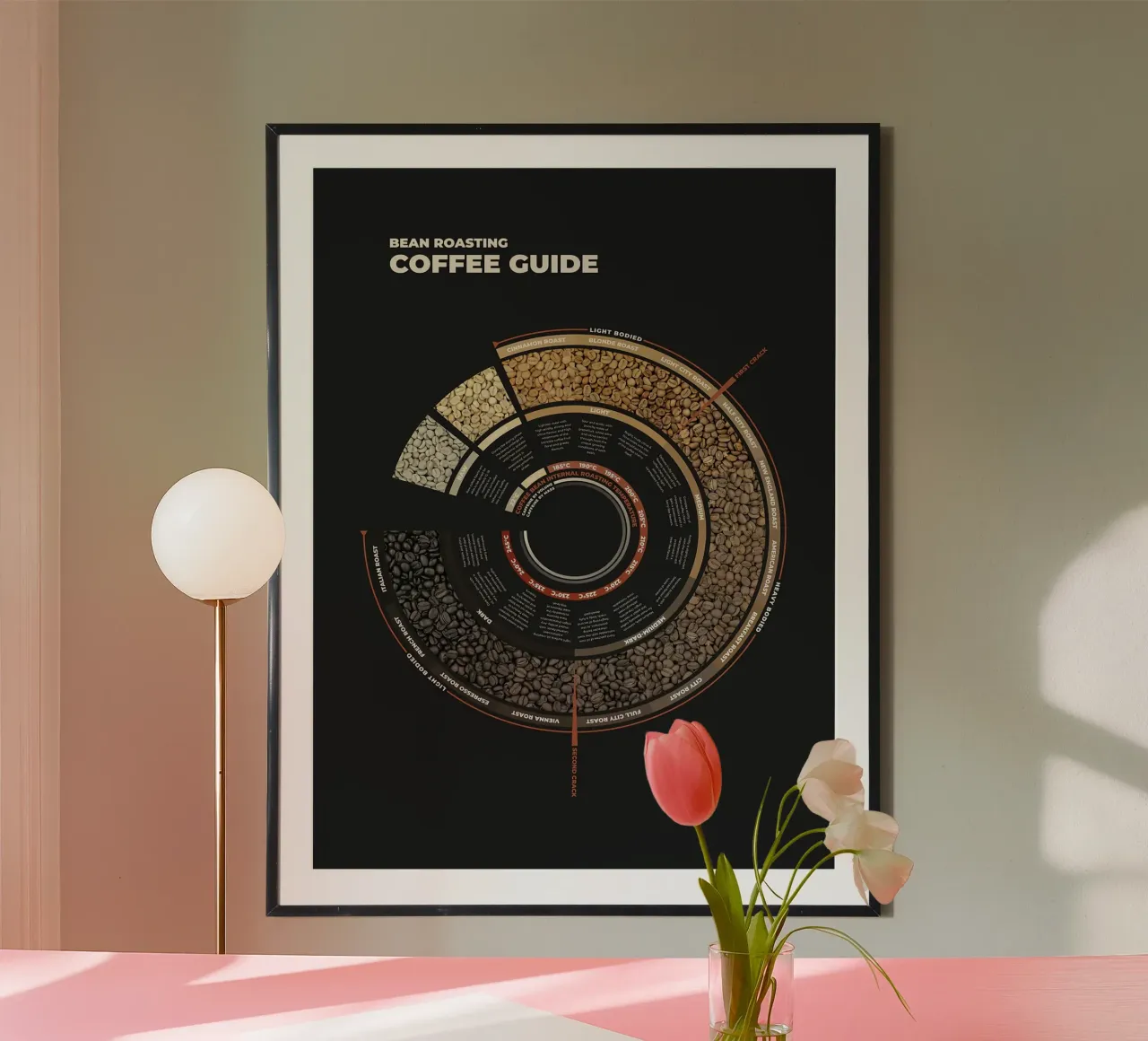 Guida alla tostatura del caffè in grani carta hahnemühle da stewar