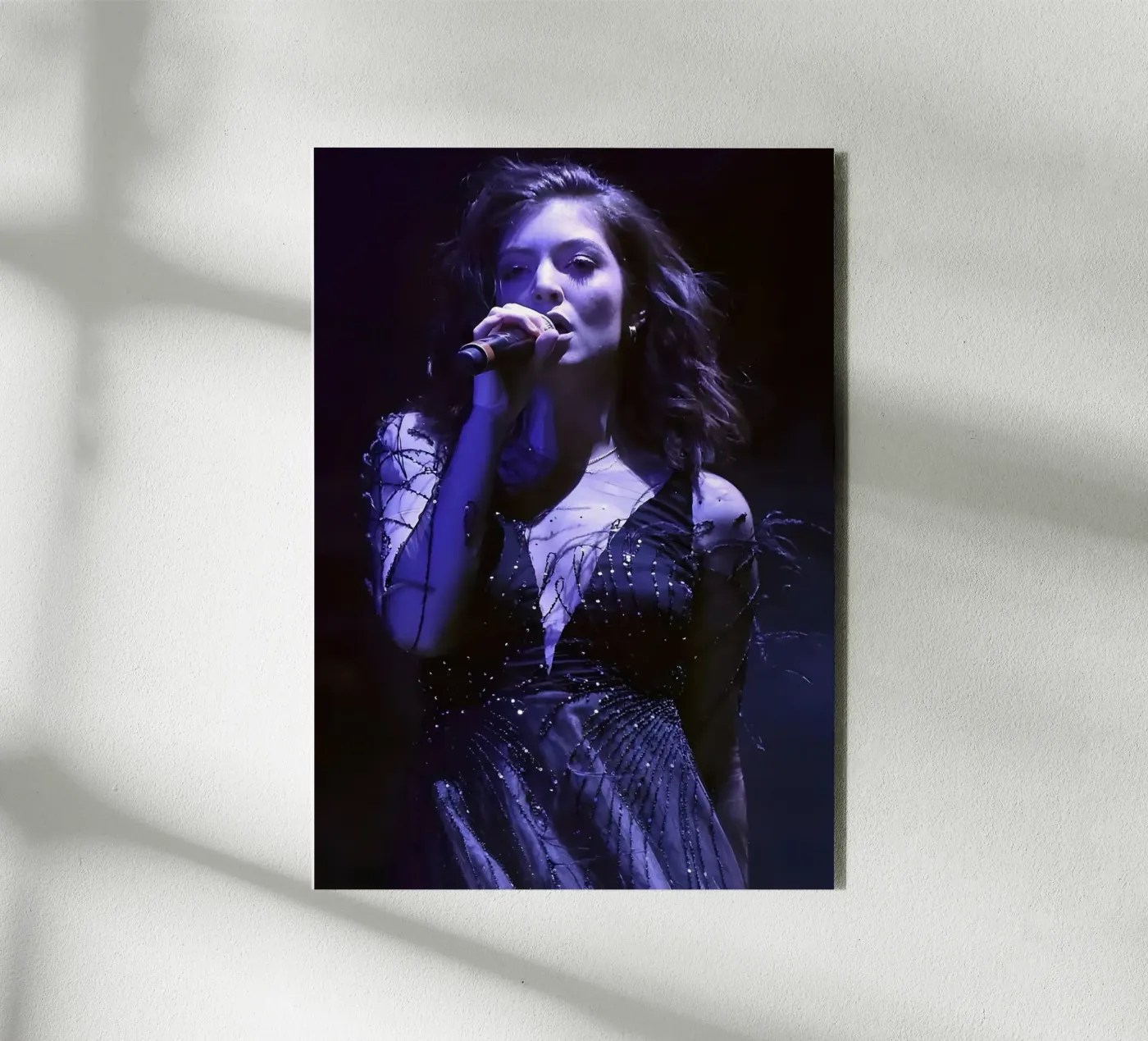 Lorde forex plate by Digital Street art