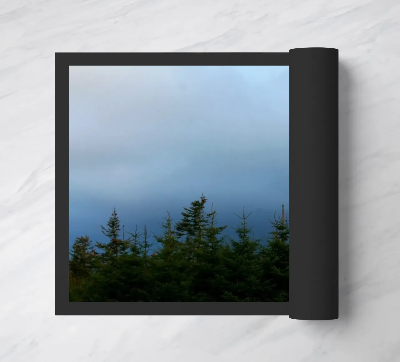 Blue forest zerbino da Lise Ruault