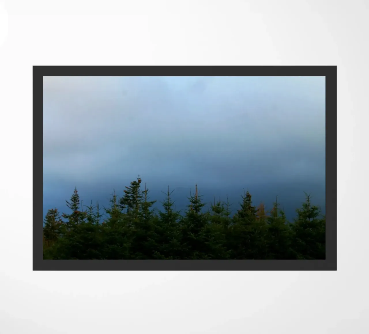 Blue forest zerbino da Lise Ruault