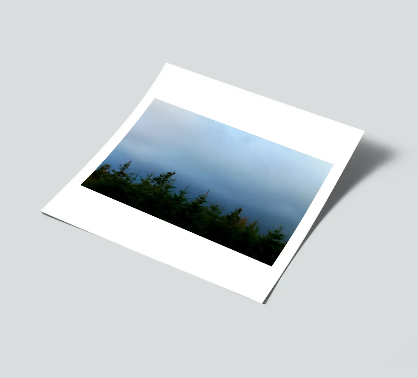 Blue forest sticker sheet by Lise Ruault