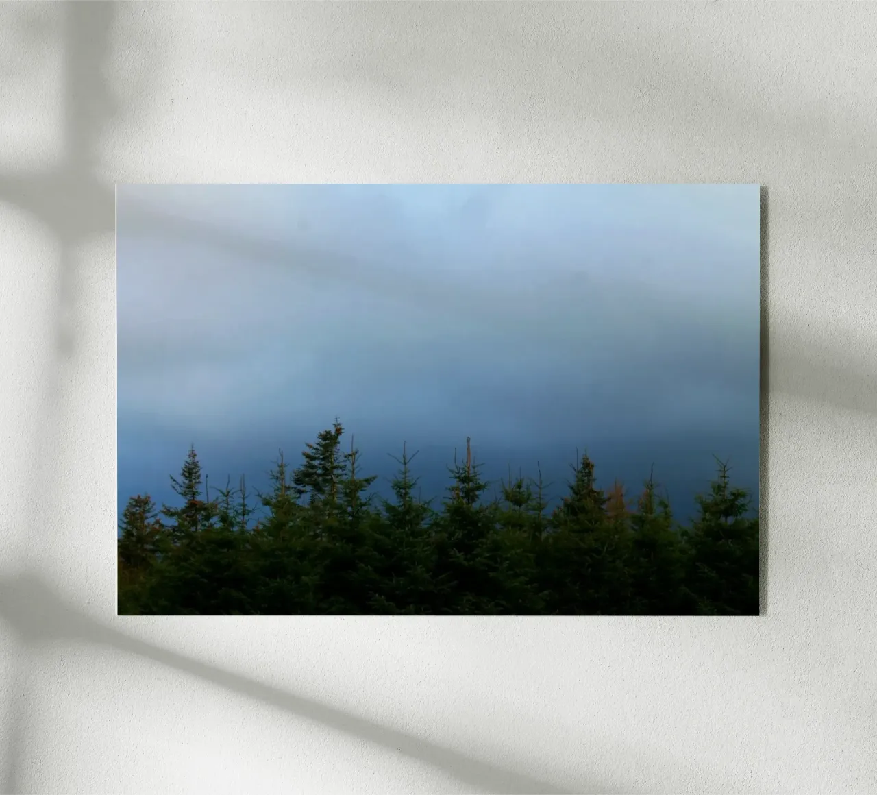 Blue forest plexiglass da Lise Ruault