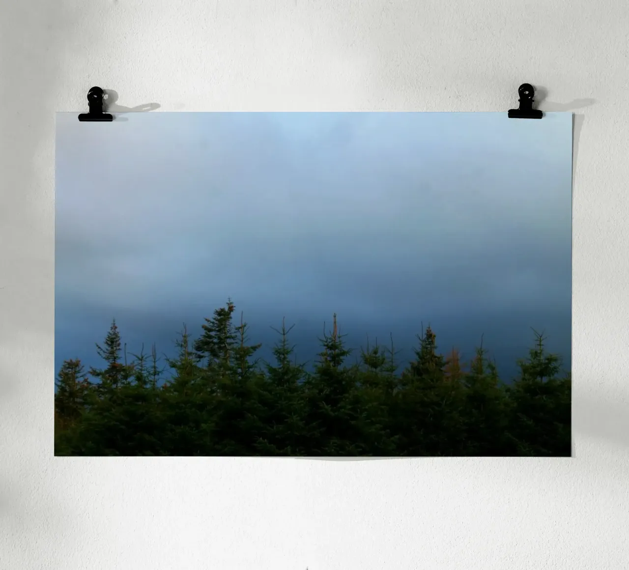 Blue forest poster da Lise Ruault