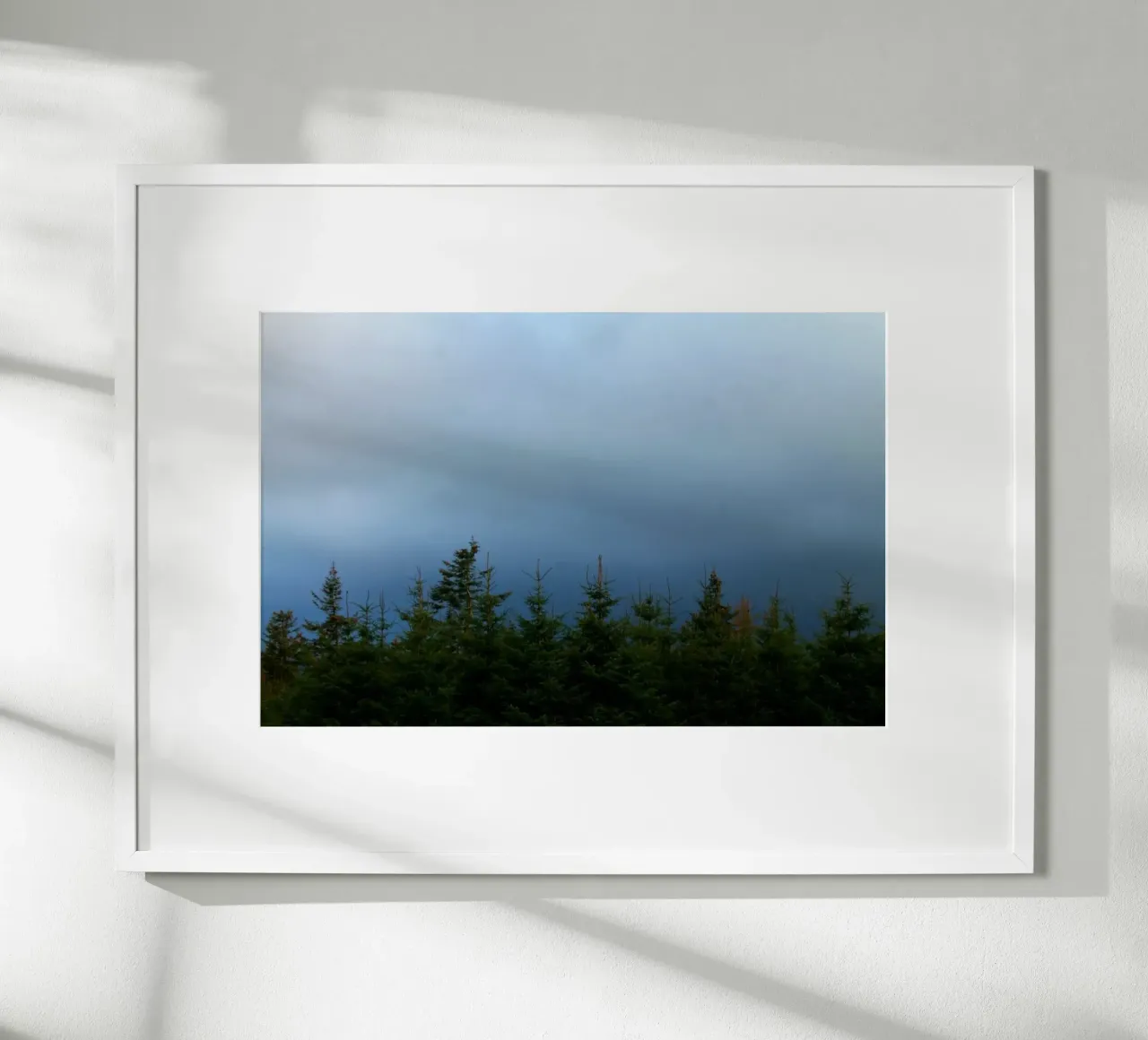 Blue forest poster da Lise Ruault