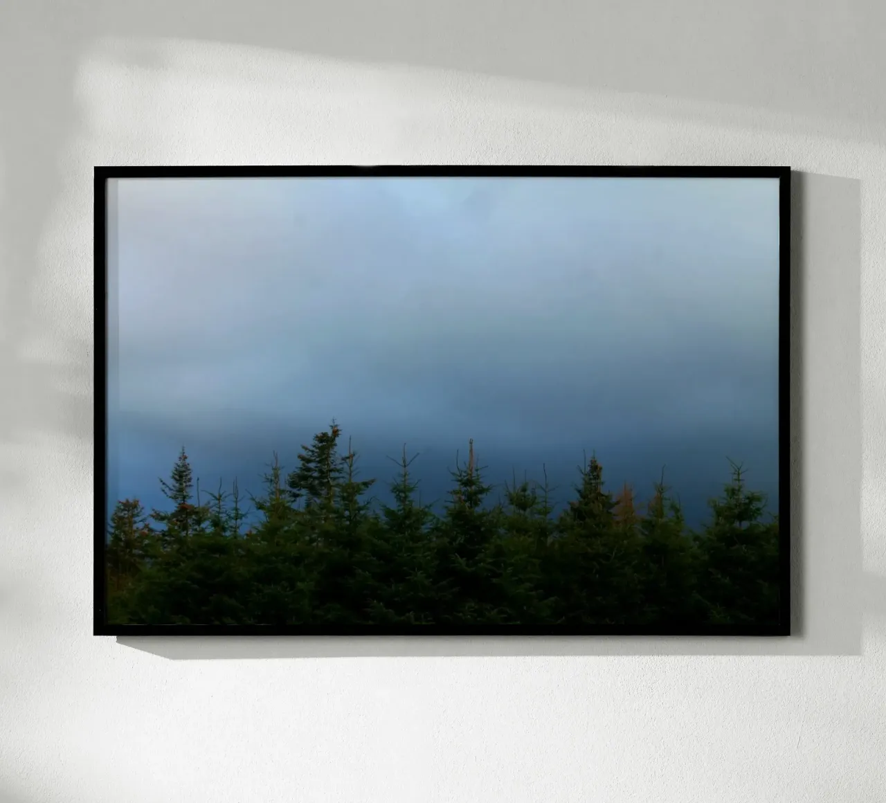 Blue forest poster da Lise Ruault