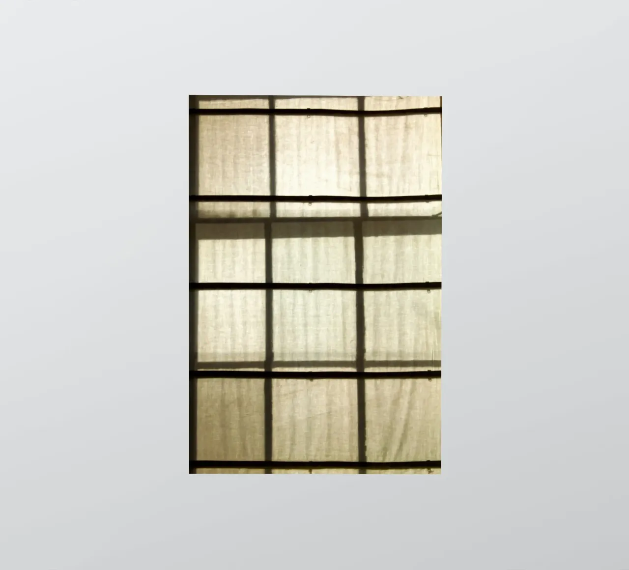 shadow sticker by Lise Ruault