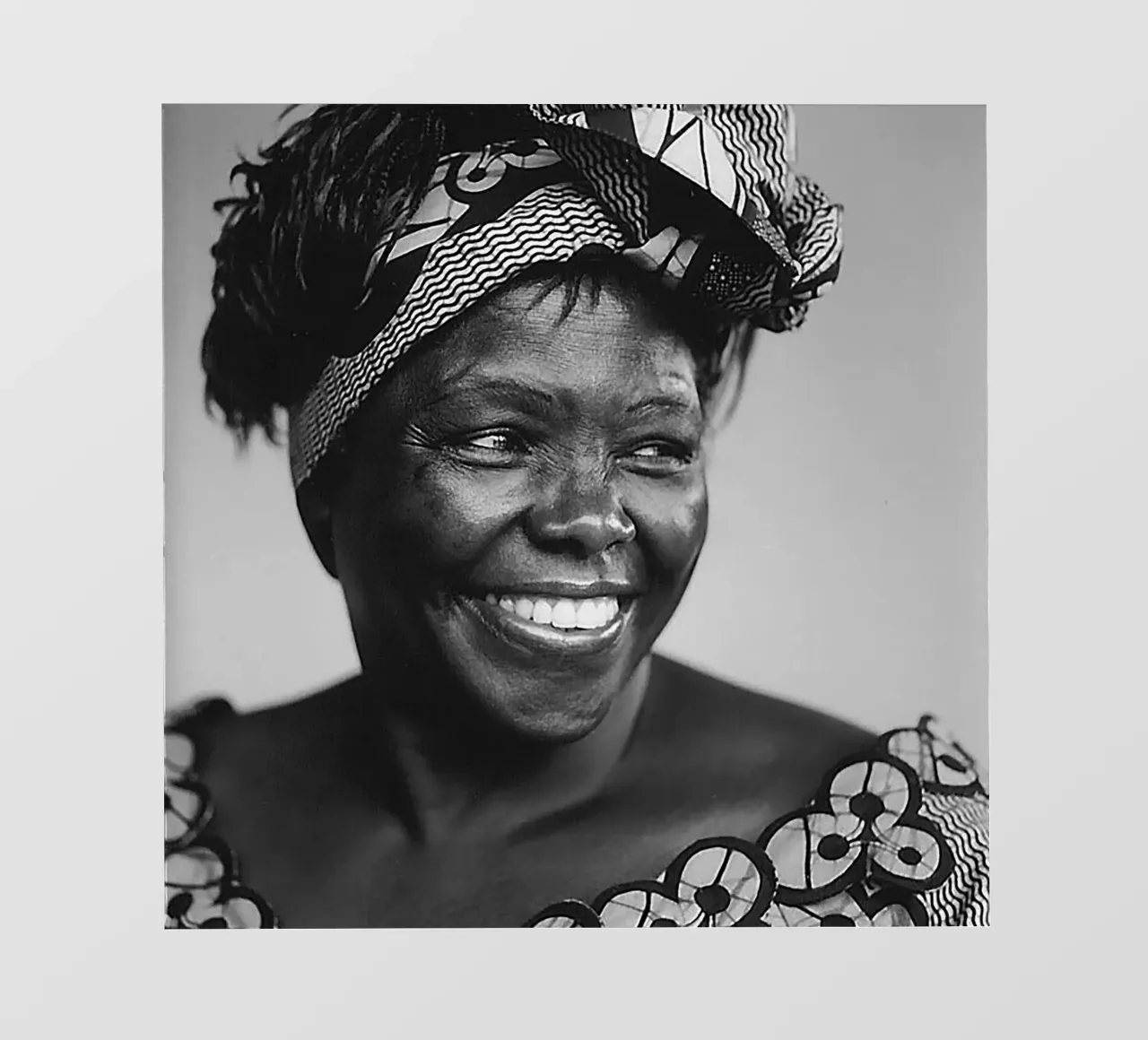 Wangari Maathai pellicola backlit da tobyrmattie