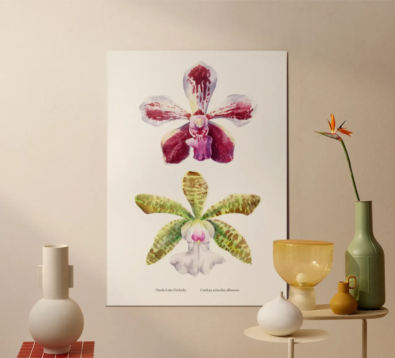 Orchidee Vanda-Loke e Cattleya aclandiae albescens carta hahnemühle da youdesignme