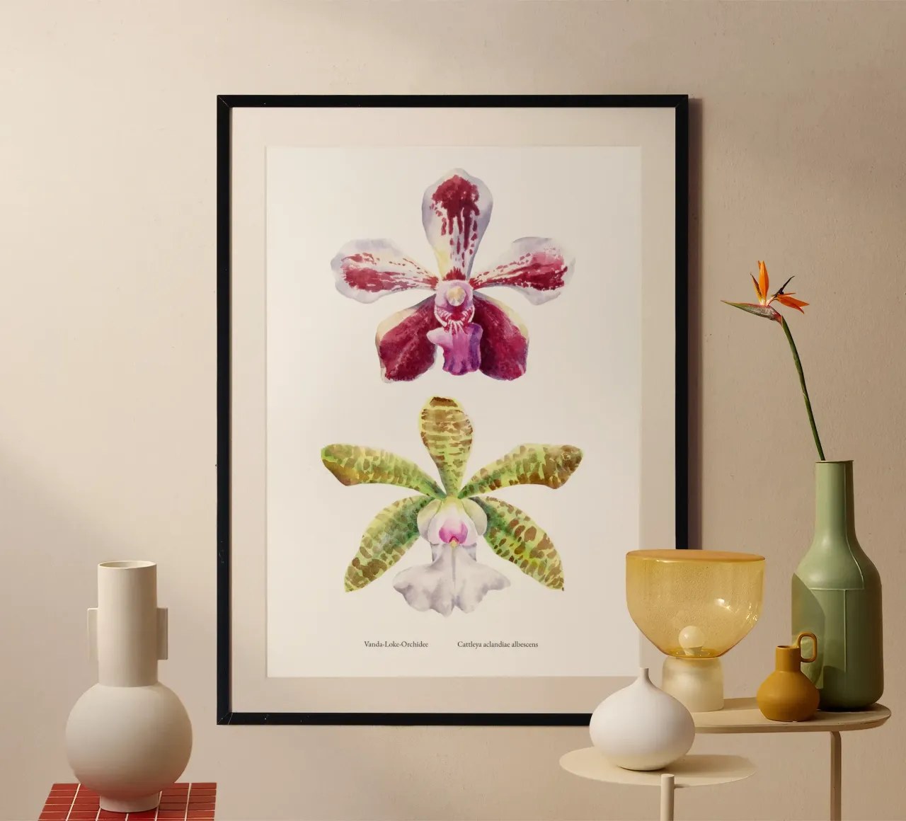 Orchidee Vanda-Loke e Cattleya aclandiae albescens carta hahnemühle da youdesignme