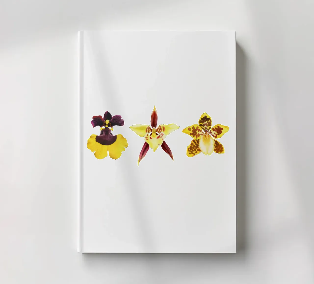 3 Orchidee diario da youdesignme