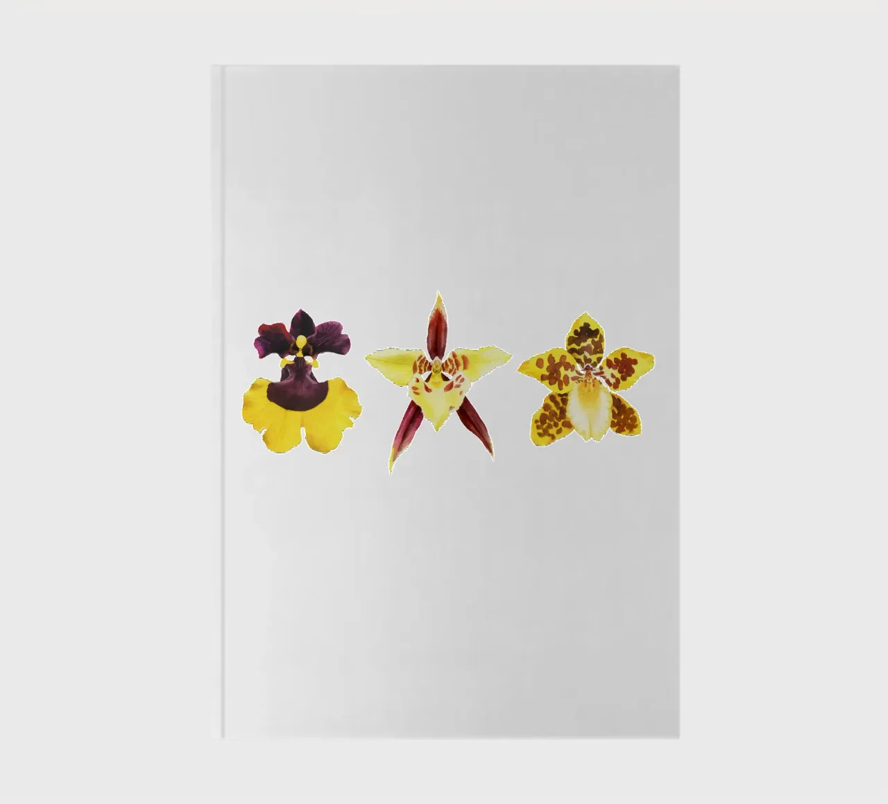 3 Orchidee diario da youdesignme
