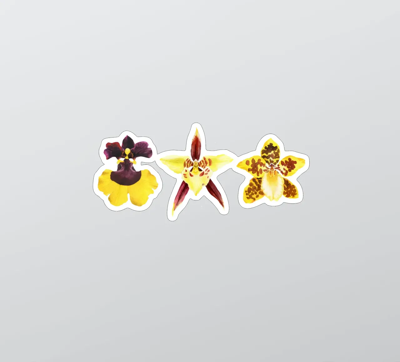 3 Orchidee adesivo da youdesignme