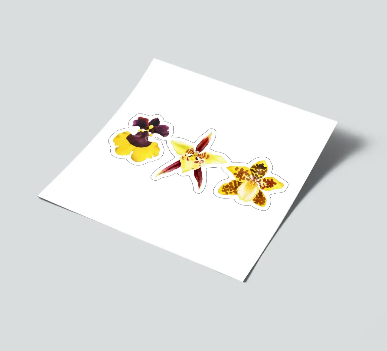 3 Orchidee foglio adesivo da youdesignme