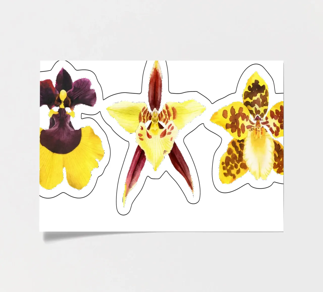 3 Orchidee foglio adesivo da youdesignme