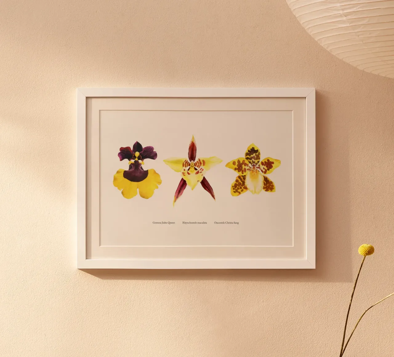 3 Orchidee poster da youdesignme