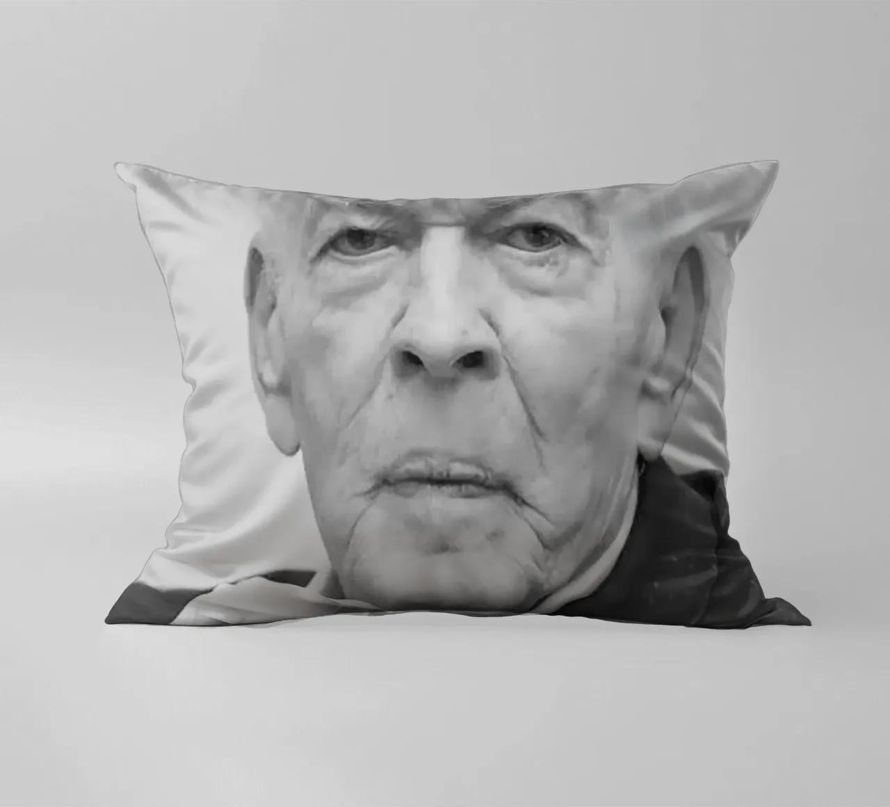 Gene Sharp cuscino da tobyrmattie