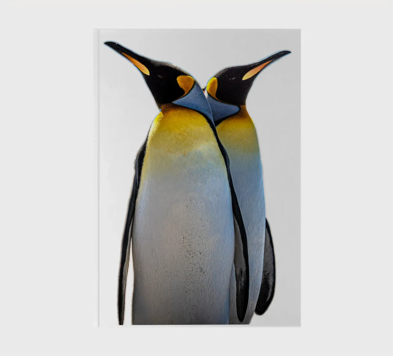 King penguin bird pair as portrait notebook by DiveDuke