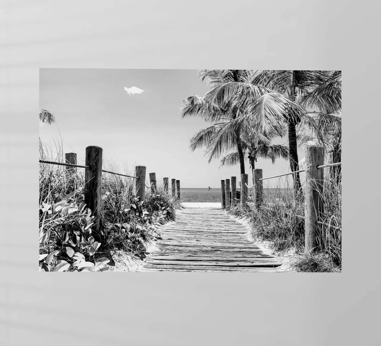 Florida nera - Spiaggia di Key West pellicola backlit da Brant Varner