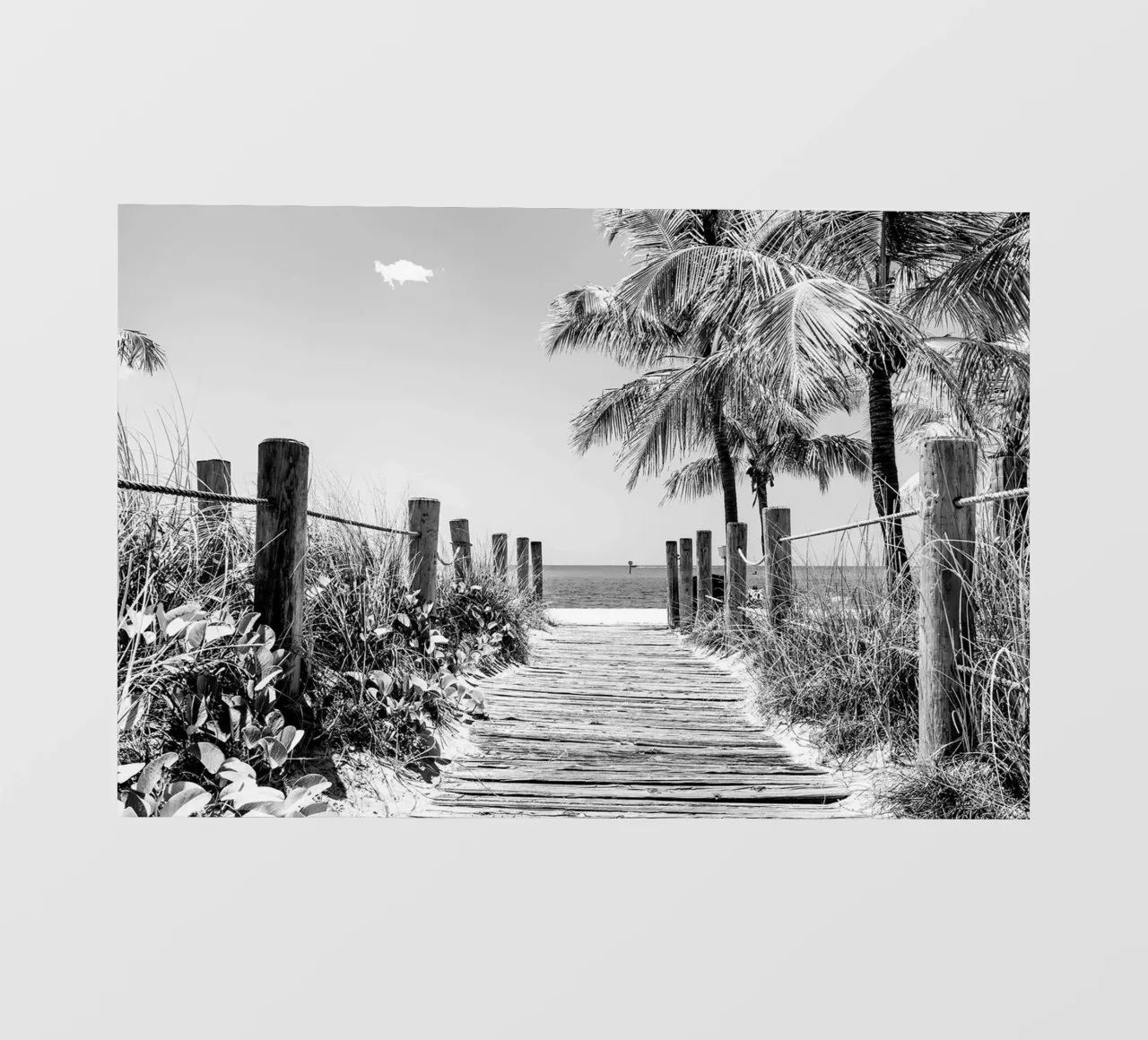Florida nera - Spiaggia di Key West pellicola backlit da Brant Varner